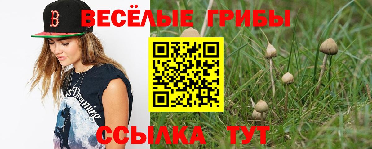 купить наркоту  Псилоцибиновые грибы Cubensis  Вход с VPN  Реж 